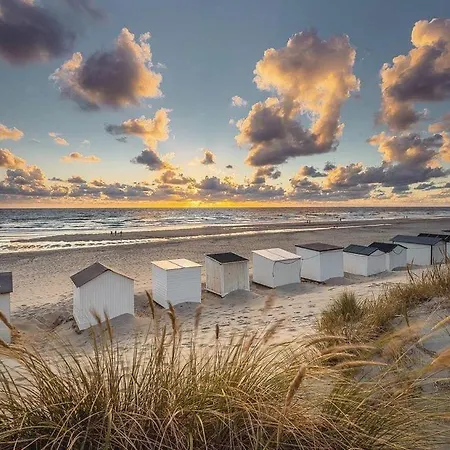 The Island Life Texel